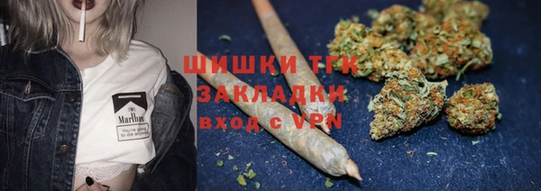 мяу мяу мука Алзамай