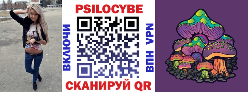 Галлюциногенные грибы Psilocybine cubensis  mega ссылка  Лаишево 